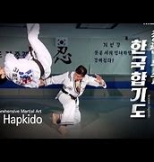 Image result for Hapkido Korean