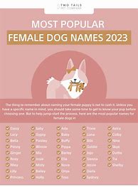 Image result for Girl Puppies Names