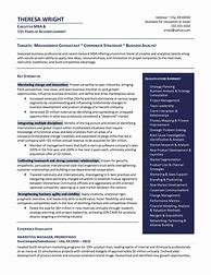 Image result for Strategy Consultant Resume Examples
