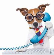 Image result for Dog Phone Call Meme