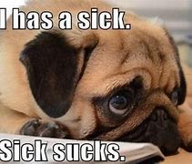 Image result for Sick Dog Funny