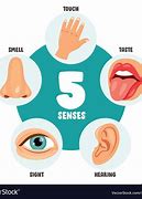 Image result for 5 Senses of Human