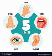 Image result for Pictures of Senses