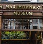 Image result for What to See in Amsterdam