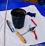 Image result for Air Pruning Pots