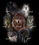 Image result for Twilight Wolf Pack