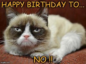 Image result for Un Happy Birthday Grumpy Cat