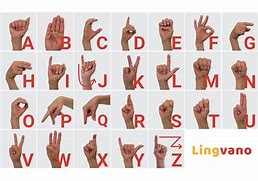 Image result for ABC Alphabet and Numbers Sign Language