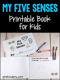 Image result for 5 Senses Preschool Theme Books