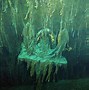 Image result for 12500 Feet in the Ocean