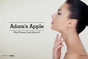 Image result for Adam's Apple On Women