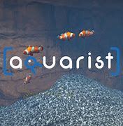 Image result for Aquarist Game Friend Model