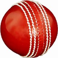 Image result for Cricket All-Rounder Trophies