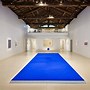 Image result for Yves Klein Painter