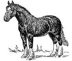Image result for Race Horse Clip Art