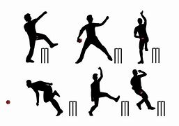 Image result for Cricket Bowling Vector