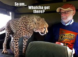 Image result for Cheetos Funny Meme