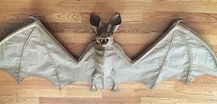 Image result for Paper Mache Bat
