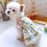 Image result for Pet Spirit Dog Clothes