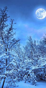 Image result for Blue Snow iPhone Wallpaper