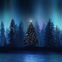 Image result for Stars Night Christmas Winter Forest