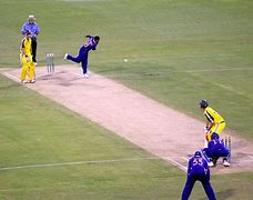 Image result for Cricket Photography Free