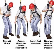 Image result for Safety Harness Strap