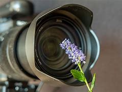 Image result for Sony RX10 IV Macro Photo