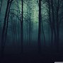 Image result for 4K Wallpapers UHD Dark Forest