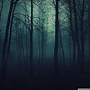 Image result for Foggy Forest Wallpaper 4K