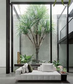 living room vibe | Patio interior, House arch design, Atrium design