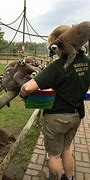Image result for Zookeeper Pics