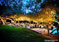 Image result for Champagne and Blush Wedding