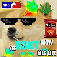 Image result for MLG Dog Meme