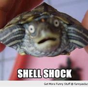 Image result for Shell-Shocked Face Meme