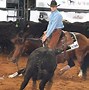 Image result for Reining Horses Champions