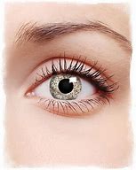 Image result for Gold Contact Lenses