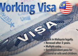 Image result for Working Visa