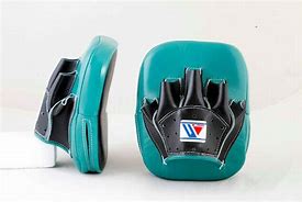 Image result for Title Metallic Focus Punch Speed Micro Mitts