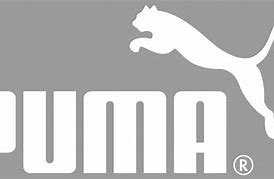 Image result for Puma Cricket Logo