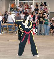 Image result for Martial Arts Skirt