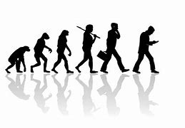 Image result for Evolution