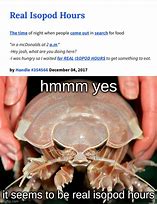 Image result for Giant Isopod Meme