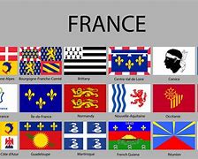 Image result for French State Flag