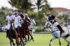 Image result for Polo Riding Wallpaper