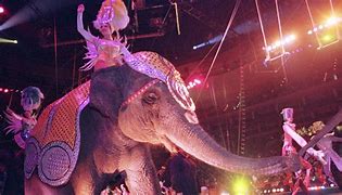Image result for Circus Trianer