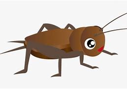 Image result for Cartoon Pic of an Insect Cricket