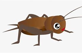 Image result for Cricket Insect Cartoon Clip Art