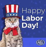 Image result for Labor Day Cat Meme