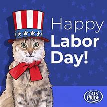 Image result for Labor Day Cat Memes